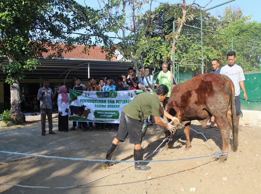 PENYEMBELIHAN HEWAN QURBAN DI SMANESKA RABU, 19 JUNI 2024